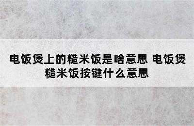 电饭煲上的糙米饭是啥意思 电饭煲糙米饭按键什么意思